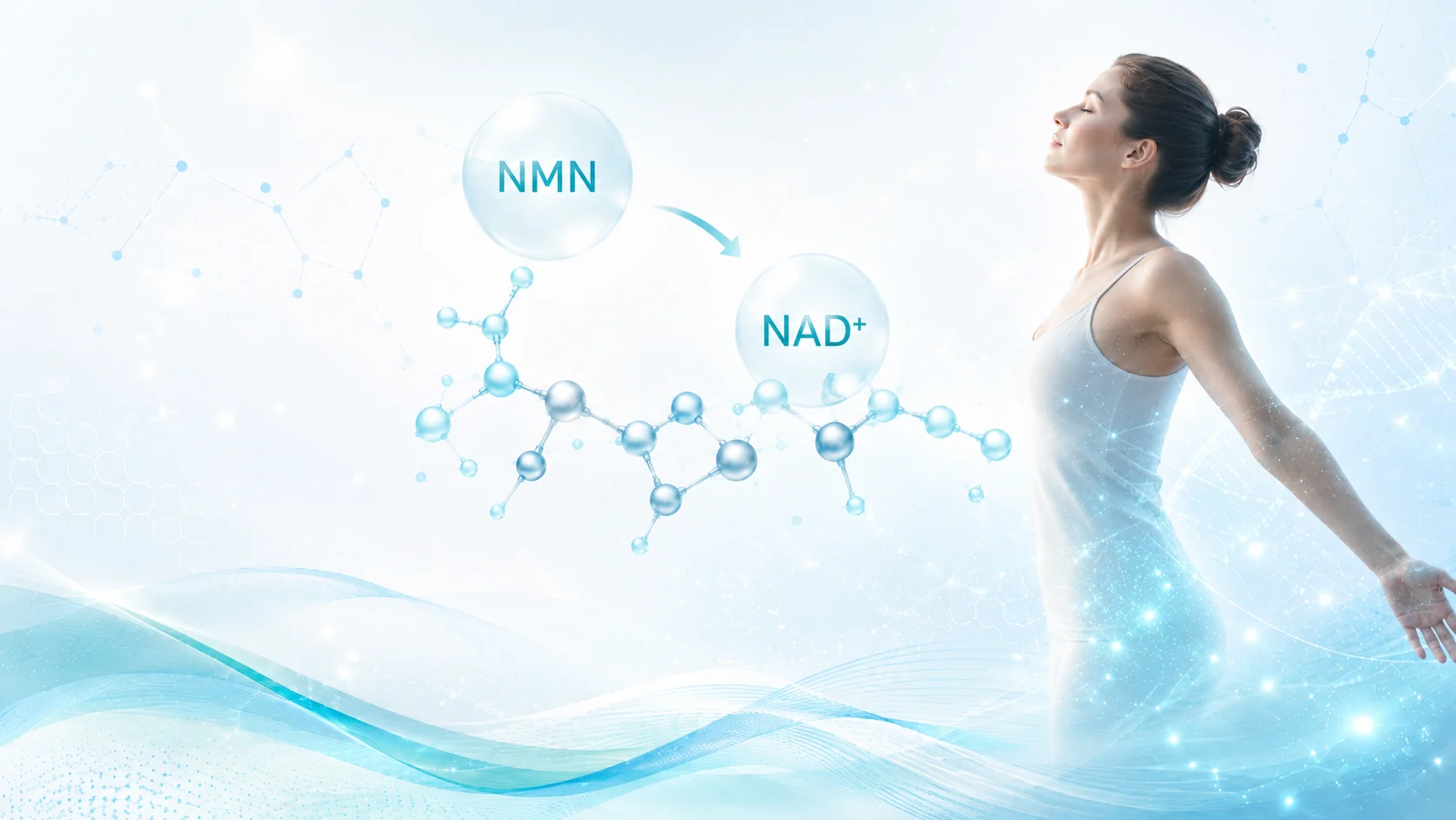 NMNとNAD+の関係を表すイメージ