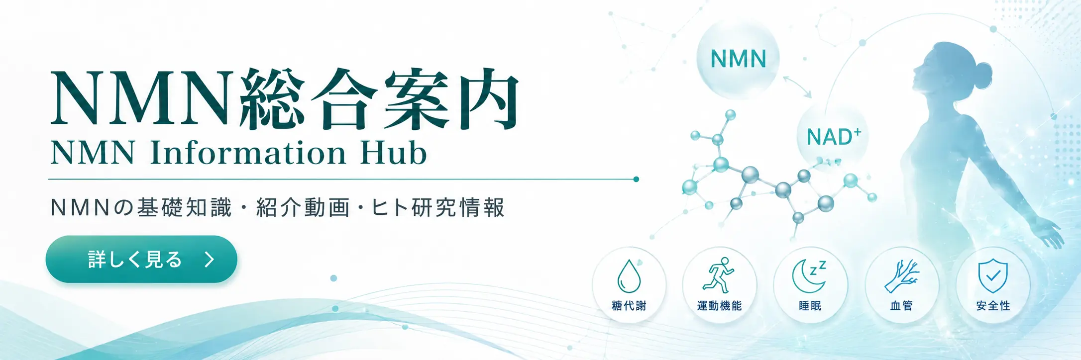 NMN総合案内 NMNの基礎知識・紹介動画・ヒト研究情報