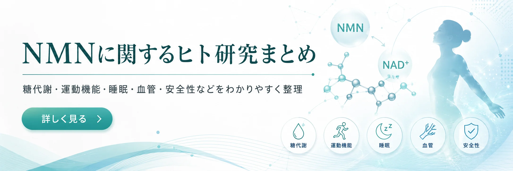 NMNに関するヒト研究まとめ 糖代謝・運動機能・睡眠・血管・安全性などをわかりやすく整理